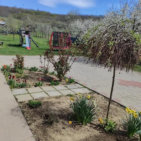 Holiday home Szofi Vendeghaz