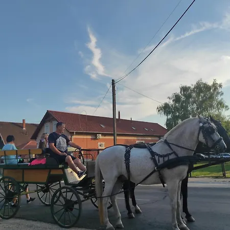 Szofi Vendeghaz Nyaraló *
